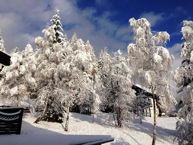 Juri & Hermann 1 Lägenhet